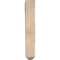 Ekena Millwork Imperial Craftsman Smooth Bracket, Douglas Fir, 3 1/2"W x 14"D x 22"H BKT04X14X22IMP04SDF - alternate 2